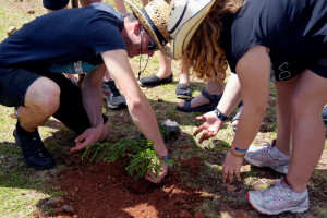 Photo 2019 01 17 12 04 24 7386