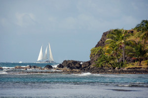 Photo 2019 01 17 15 39 02 7367