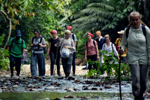 Photo 2019 01 21 14 13 39 7573