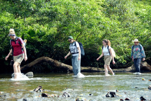 Photo 2019 01 21 14 25 09 7574